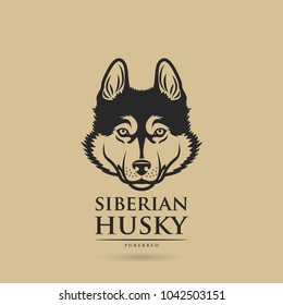 Siberian husky dog - isolated vector illustration