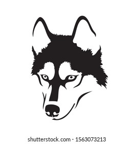 Siberian husky dog - isolated vector illustration