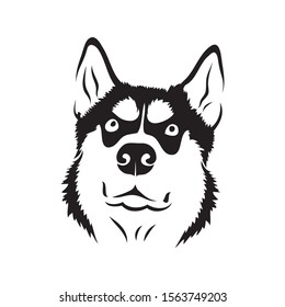 Siberian husky dog - isolated vector illustration