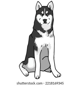 Siberian Husky Dog Pet Colored Drawing