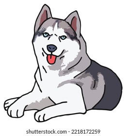 Siberian Husky Dog Pet Colored Drawing