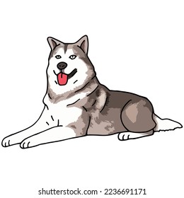 Siberian Husky Dog Pet Colored Drawing