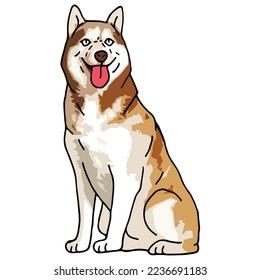 Siberian Husky Dog Pet Colored Drawing
