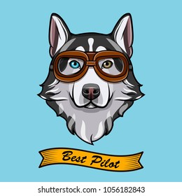 Siberian husky dog pilot. Aviators glasses. Pilot glasses. Vector illustration. Best pilot inscription.