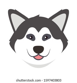 Siberian husky. Husky dog portrait. Husky head. Dog breed. Vector illustration. 