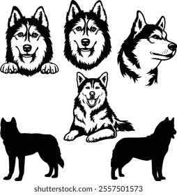 Siberian Husky Dog Set Bundle