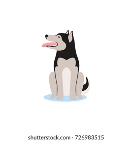 Siberian husky dog sitting on the snow vector Illustration