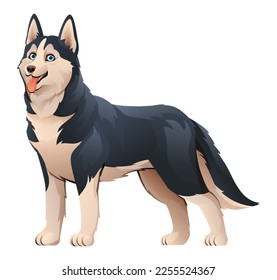 Siberian husky dog vector cartoon illustration