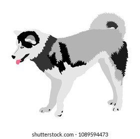 Siberian Husky Dog Vector Illustration Akita Stock Vector (Royalty Free