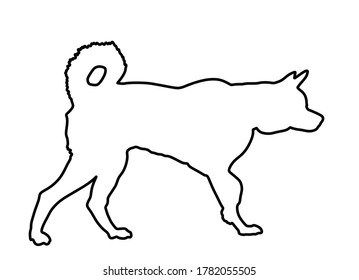 Siberian Husky dog vector line contour silhouette illustration isolated. Akita Inu breed. Dog show champion. Purebred guard dog. Lovely pet and familys best friend. Beware of dog graphic sign.