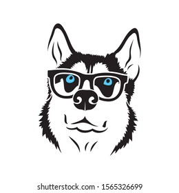 Siberian husky dog wearing eyeglasses - isolated vector illustration