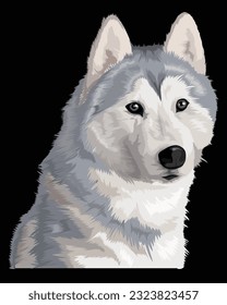 Siberian Husky, elaborately illustrated, is looking at something