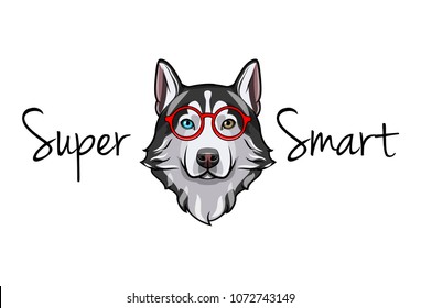 Siberian Husky geek. Smart glasses. Super smart inscription. Red Eyeglasses. Vector illustration