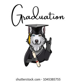 Siberian Husky graduate. Dog with diploma, graduate s cap and horns rock gesture . Vector illustration.
