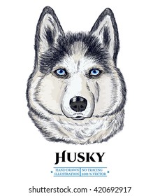 Siberian Husky, hand drawn animals vector illustration 