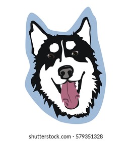 Siberian husky, head, cut funny dog 