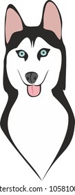 Siberian Husky head. Vector illustration.