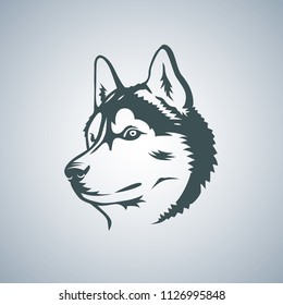 Siberian Husky head vector illustration. For logo or t-shirt.