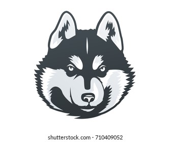 Siberian Husky head vector illustration. For logo or t-shirt.