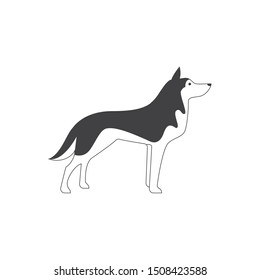 Siberian husky icon. flat simple pictogram. Husky dog vector illustration