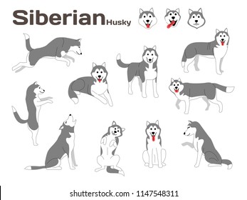 siberian husky illustration,dog poses,dog breed