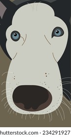 Siberian husky muzzle close up. Cute dog portrait. Flat vector illustration. Nice doggy face closeup. Funny husky animal look at camera. Friend doggie pet snout. Beautiful blue eyes. Fun gray mustache