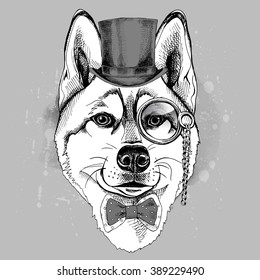 Siberian Husky portrait in a hat bowler and with monocle. Vector illustration.