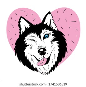 Siberian Husky portrait on big pink heart with fur on it