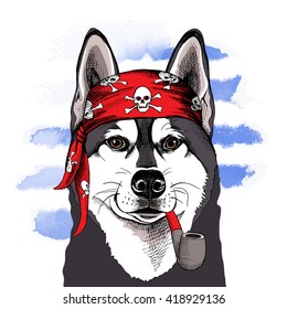 Siberian Husky portrait in a Pirate Bandana and with a Tobacco pipe. Vector illustration.