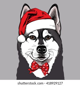 Siberian Husky portrait in a Santas hat with a tie. Vector illustration.