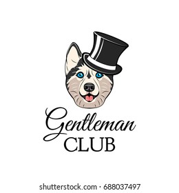 Siberian Husky portrait. Top hat. Gentleman club badge. Vector illustration isolated on white background