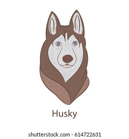 Siberian husky portrait in vector. For cards and logo.