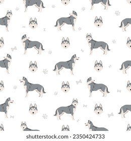 Siberian Husky seamless pattern. All coat colors set.  All dog breeds characteristics infographic. Vector illustration