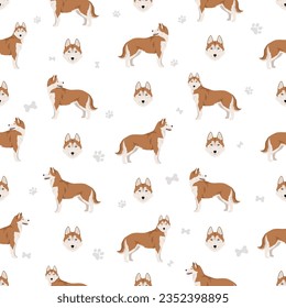 Siberian Husky seamless pattern. All coat colors set.  All dog breeds characteristics infographic. Vector illustration