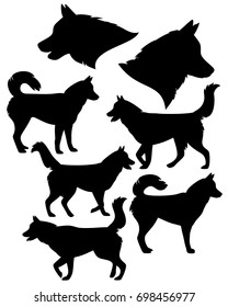 siberian husky silhouette collection - black vector dog set against white