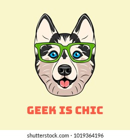 Siberian Husky in smart glasses. Dog portrait. Geek is chic. Vector illustration.