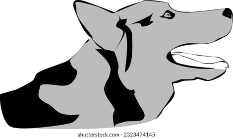 Siberian husky vector black and white