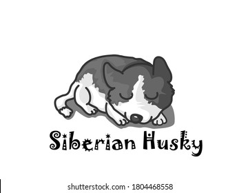 Siberian Husky and Vector dog