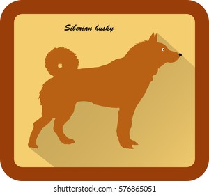 siberian husky vector flat illustration clean and simple style