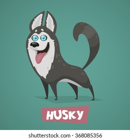 Siberian husky. Vector illustration