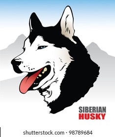 Siberian husky -  vector illustration