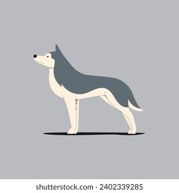 Siberian husky. Vector illustration in flat style on grey background