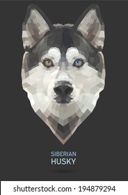 Siberian Husky vector polygon geometric