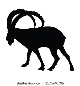 Siberian Ibex Capra sibiric vector. Black silhouette isolated on white background.