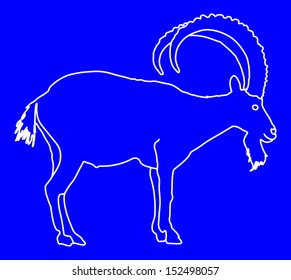 Siberian Ibex Capra sibiric vector, white silhouette isolated on blue background. 