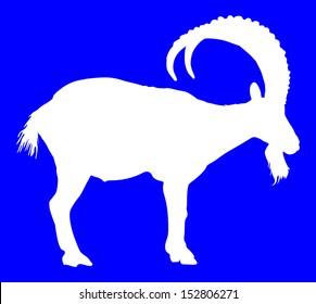 Siberian Ibex capra sibiric vector, white silhouette isolated on blue background