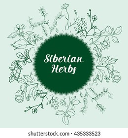 Siberian medicinal herbs collection