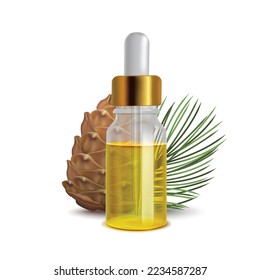 Siberian Pine Oil Bottle with Cone and Branch. Siberian Pine Realistic Elements for Banners Advertisement Fliers Posters. Vector Isolated Illustration