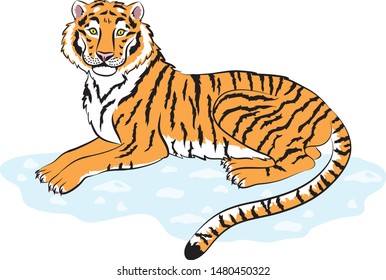 Siberian tiger lying on the snow
