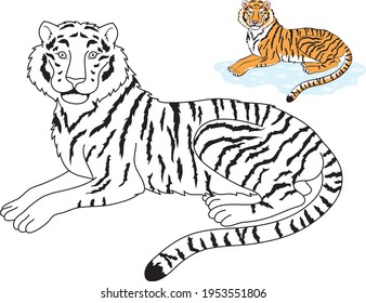 Siberian tiger lying on the snow colorful